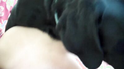 Teen dog sex: girl and dog sex 2026