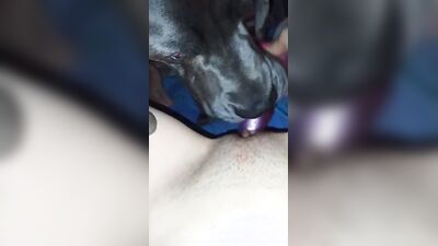 Gay zoo porn: https bestiality