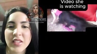 Animal porno: comics porno dog fights girl s pussy