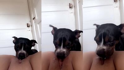 Bestiality porno: girls having sex with a dog