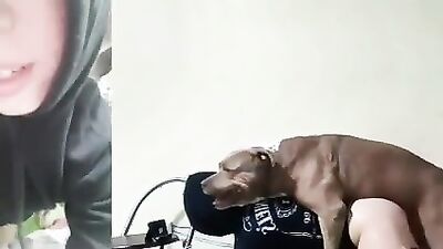 Dog fuck girl: zoo porn dog cum in mouth
