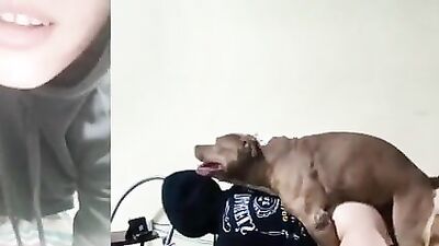 Dog fuck girl: zoo porn dog cum in mouth