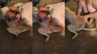 Zoo horse porn: big dog porn