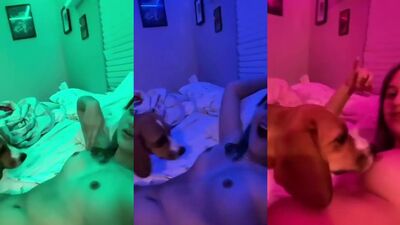 Zoo dog sex: mimi dog porn art