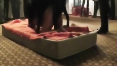 Porn bestiality: caledonian bestiality