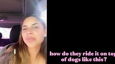 Bestiality porn: triple zoo porn