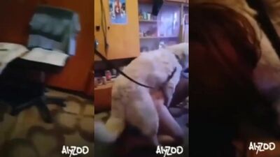 Dog porn: young girl sex dog