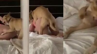 Art of zoo porn: zoo porn girl video