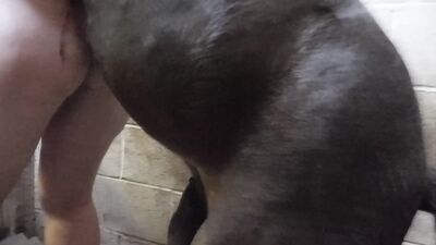 Zoo sex porn: wife fucking dog porn