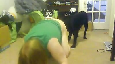 Dogs having sex: animals real sex