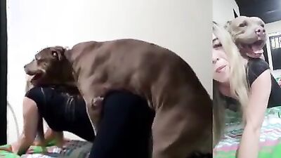 Dog sex porn: dog sex blowjobs
