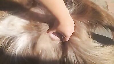 Dog get girl: male bestiality xxx