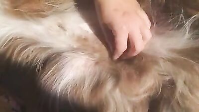 Dog get girl: male bestiality xxx