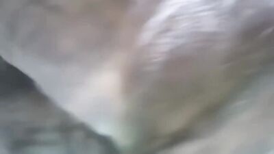 Bestiality porn: russian girl first experience sex dog