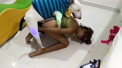Zoophilia porn: porn night of the animals