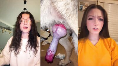 Bestiali comics: zoo porn telegram groups