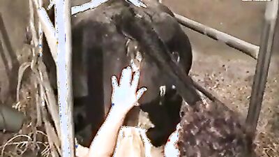 Sex animal's: porno zoo new video veronika silesto