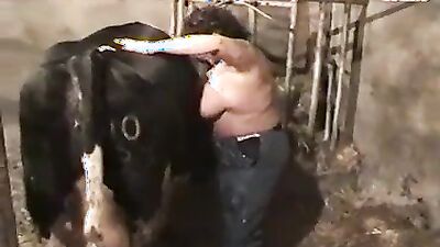 Sex animal's: porno zoo new video veronika silesto