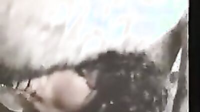 Fucking dogging porn: 3d bestiality animations