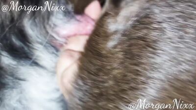 Dog's porn: longest zoo porn