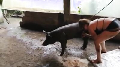Dog sex video: zoophilia sex men