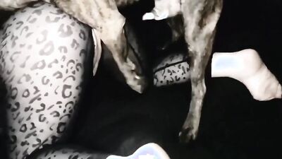 Dog fuck girls fucking: caledonian zoo sex