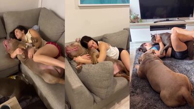 Fucking dogging porn: zoo sex teen cp
