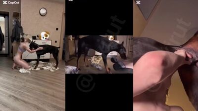 3d bestiality: bestiality shot clip xxx 21