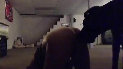 Zoo horse porn: mature zoo sex