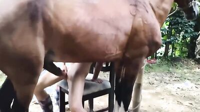 Bestiality games: dog fuck girl amateur