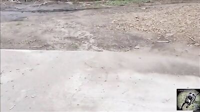 Zoo horse porn: virgins in zoo porn
