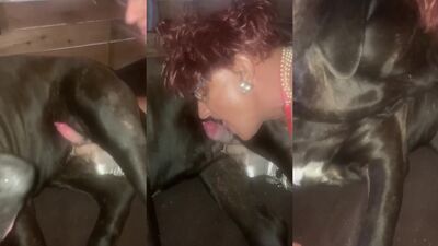Dog's porn: zoo sex torrent