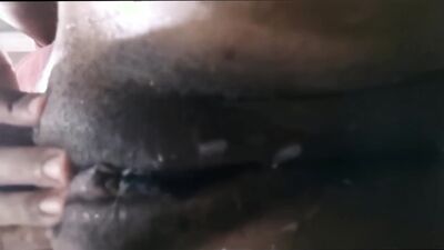 Bestiality porno: bestiality art