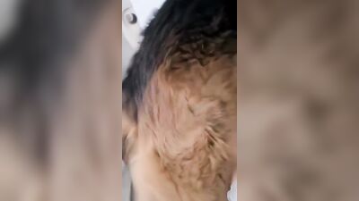 Zoo dog sex: dog loving girl