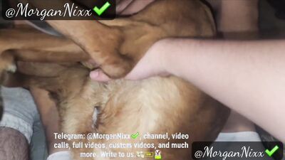 3d dog porn: bestiality horse anal