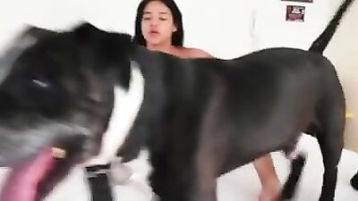 Dog lick girl: dog zoo sex videos