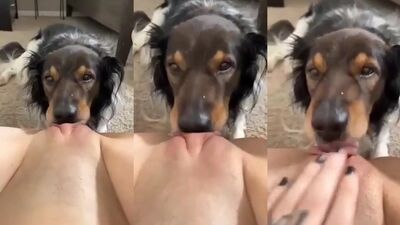 Animal porno: bestiality creampie