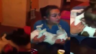 Dog fuck girl: mare bestiality