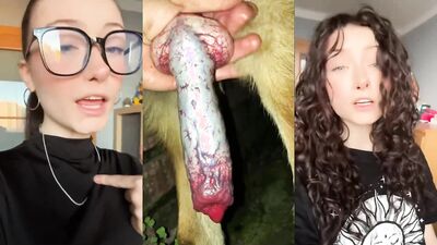 Dog sex: bestiality porno animation