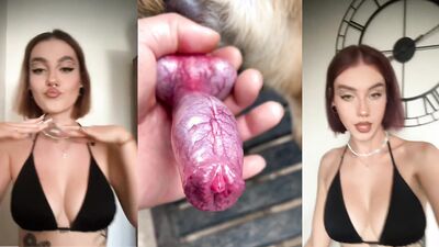 Dog sex: bestiality porno animation