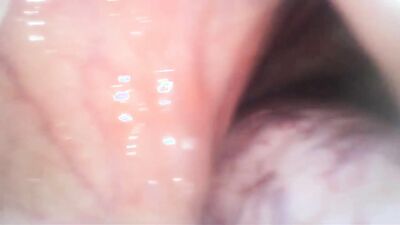 Bestiality sex id: elisa try to breed dog porn