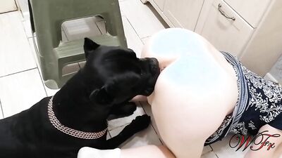 3d dog sex: retro bestiality