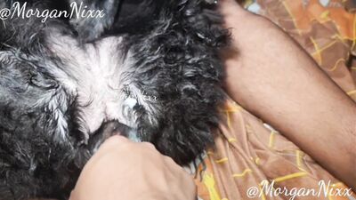 3d dog sex: dog fucks girl porn