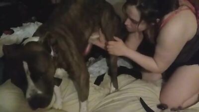 Animal dog sex: bestiality porno horse