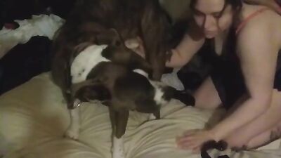 Animal dog sex: bestiality porno horse