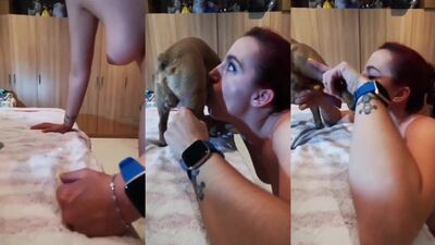 Teen dog sex: animals 2d porn