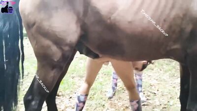 Zoo horse porn: olivia animal crossing porn animation