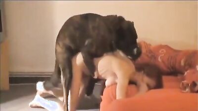 Bestiality video: zoo porn 2d