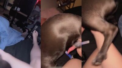 Girls 5 dogs: creamy spot dog mask porn