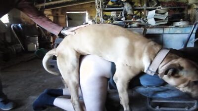 Bestiality xxx: animal porn x